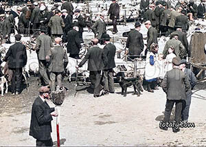 A Victorian image of a street seller at the sheep market in the Square, Warrenpoint. This image has been fully restrored, colourised and HD enhanced.